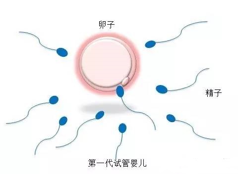 中医妇科